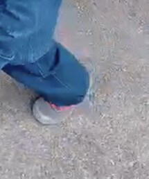 POISSON | デニムパンツ