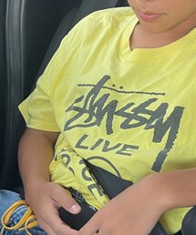 STUSSY | Tシャツ/カットソー
