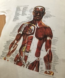 HANES | 80's アナトミカルチャートT(Tシャツ/カットソー)