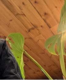 UNIQLO | デニムジャケット