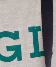 AIGLE | Tシャツ/カットソー