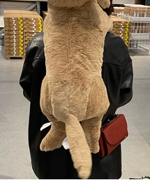 いぬ | その他