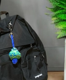 BEAMS ✖️JanSport | バックパック/リュック