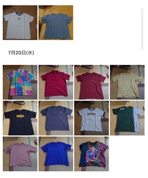 ｲﾝﾅ-(Tｼｬﾂ、ﾎﾟﾛｼｬﾂ)🐨 | その他