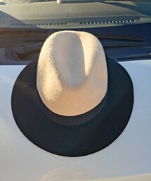 Follow the vogue | ハット