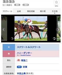 ヨカヨカ🐴 | その他