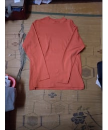 ﾜ-ｸﾏﾝﾌﾟﾗｽ | Tシャツ/カットソー