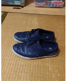 COLE HAAN | ã¹ããŒã«ãŒ