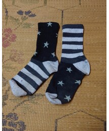 Champion | ソックス/靴下