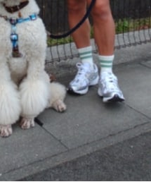 Ron Herman | ソックス/靴下