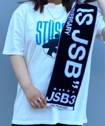 STUSSY | Tシャツ/カットソー