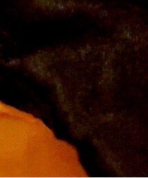 セリア | ポンチョ