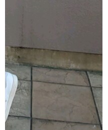 adidas | シューズ