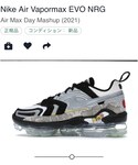 NIKE | AIR VAPORMAX EVO NRG(球鞋)