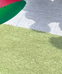 SPINNS | ダウンベスト