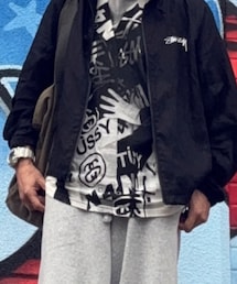 STUSSY | Tシャツ/カットソー