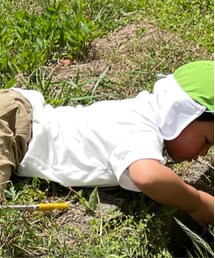 無印良品 | Tシャツ/カットソー