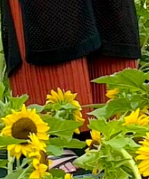 Futier land | パンツ