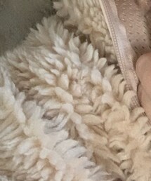 Gramicci | ジャケット/アウター