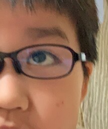 MIKIMOTO | メガネ