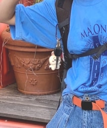 ちいかわのうさぎ | その他