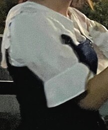 NICE CLAUP | シャツ/ブラウス