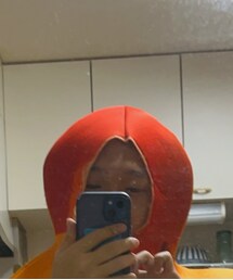 賢い頭 | その他