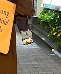 MARKEY'S(マーキーズ)の「トップス(Tシャツ/カットソー)」
