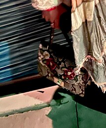 ALDO | ハンドバッグ