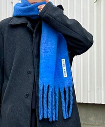CITEN | マフラー