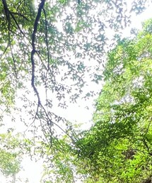 no brand | トップス