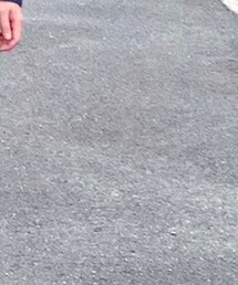 SOFEE | スウェットパンツ