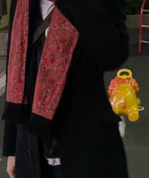 COMME des GARCONS HOMME PLUS | チェスターコート