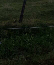 UNIQLO | デニムパンツ