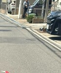 RALPH LAUREN(ラルフ ローレン)の「トップス(シャツ/ブラウス)」