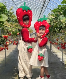 Handmade | いちご狩り♡(ショルダーバッグ)