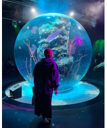 水族館🐠 | その他