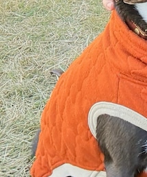 SOIMA | ペットウェア