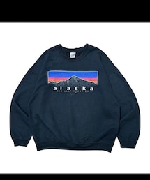 used | Alaska sweat(ニット/セーター)