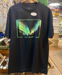 cotton expression | Tシャツ/カットソー