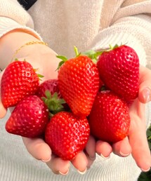 スカイベリー | その他