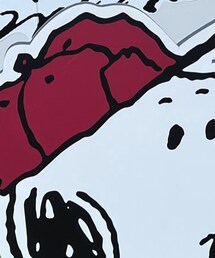 SNOOPY | その他