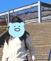 earth music&ecology | シャツ/ブラウス