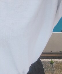 しまむら | Tシャツ/カットソー