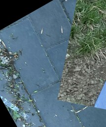 ZARA | シャツ/ブラウス