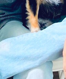 RAGEBLUE | デニムパンツ