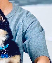 GLOBAL WORK | Tシャツ/カットソー