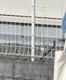 LILY BROWN | ワンピース/ドレス