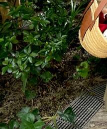 LOEWE | かごバッグ