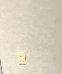 Apuweiser-riche | スカート